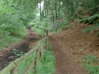 Bahndamm bei Bossel