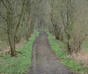 Trasse der Bossel-Blankensteiner Eisenbahn