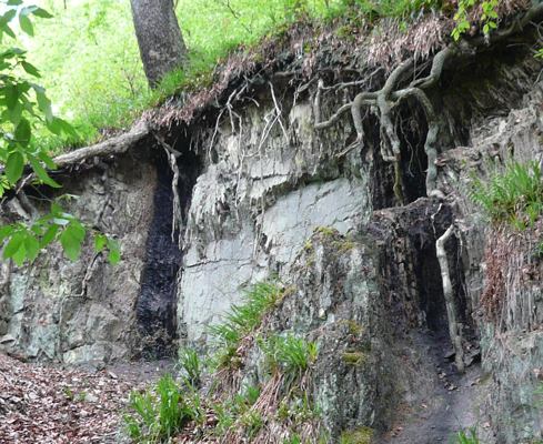 Flözaufschluss Wasserbank in Niederwenigern