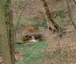 Rsche des Scheller Stollens