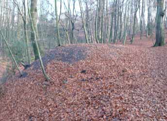 Stollenhalde im Scherpenseelsbusch