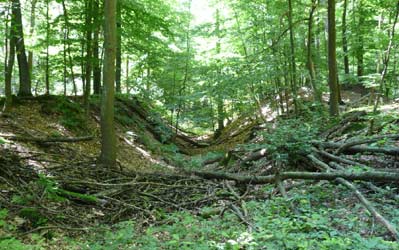 Ausstrichgraben des Flzes Schieferbank