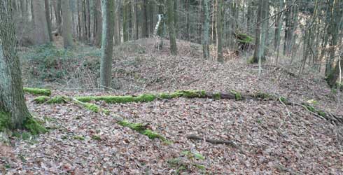 Pinge und Halde von Schacht Nr. 1 von Louisenglck