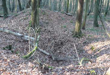 Pinge und Halde von Schacht Nr. 2 von Louisenglck