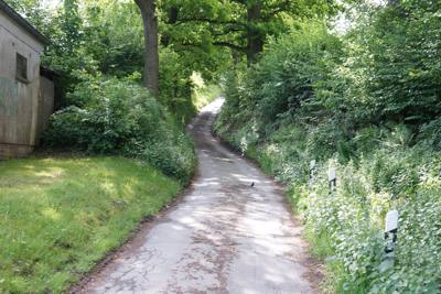 Alter Kohlentreiberweg am Sandlhken