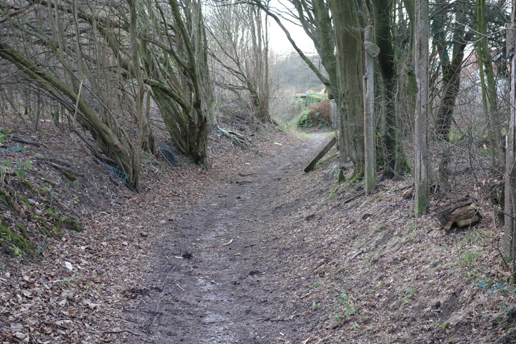 Hohlweg Obere Böhle