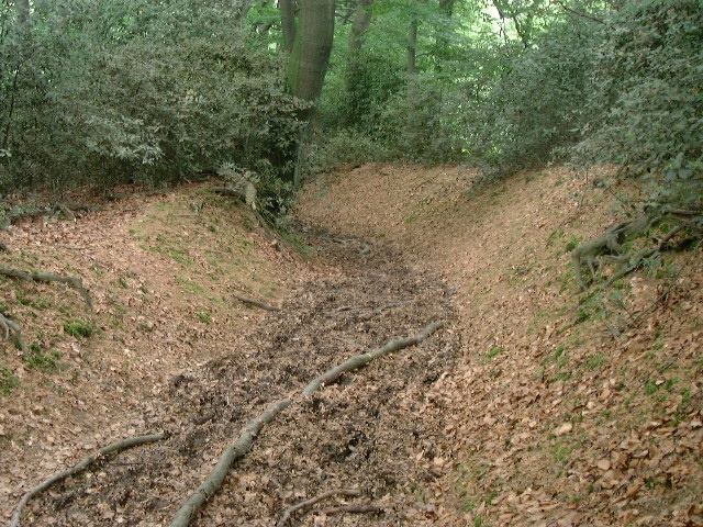 Hohlweg am Hibbelweg