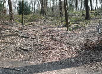 Spur des Kohlenwegs am Tlleturm